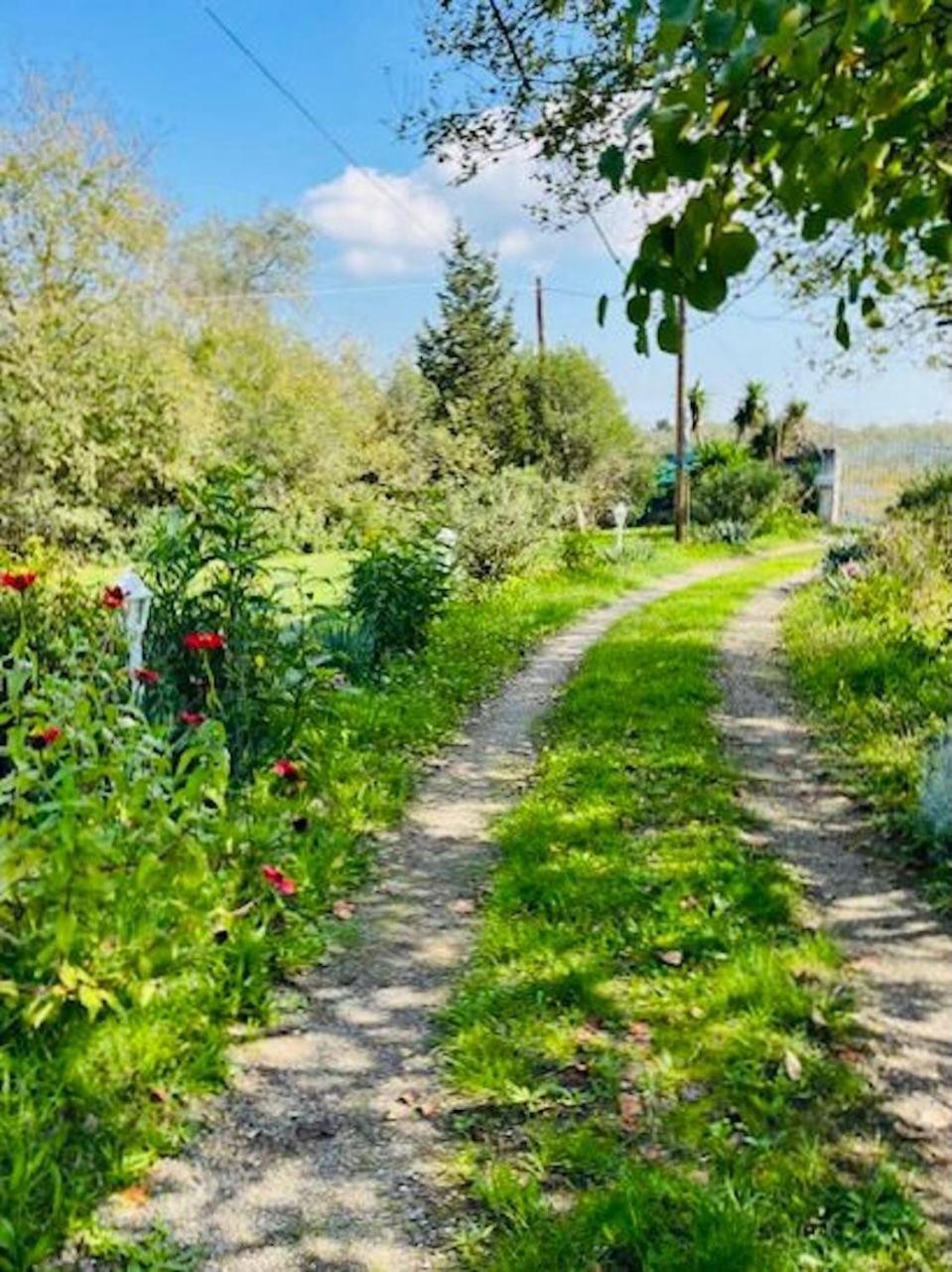 Cozy Corfu Bungalow 5 Minutes To Aqualand Agios Ioannis  Ngoại thất bức ảnh